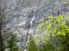 Avalanche Creek Falls_1200x900.jpg