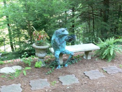 Jeremiah 
Jeremiah was a Bullfrog, was a good friend of mine, never spoke a single word, but he had some mighty fine wine.....

Got to figure out who wrote that stupid song so I can give him credit, whether he wants it or not.

Don't really know about the wine but, you can visit Jeremiah at Evins Mill.
