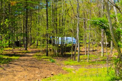 Day Camp
It's Spring and there are Lizards to be caught, frogs to out jump and the creek is even colder than last year.
