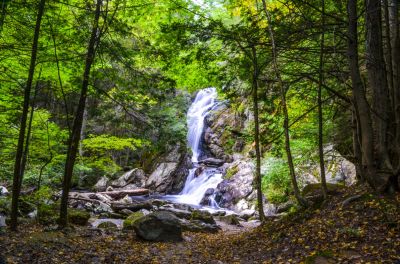 Falls Colors Starting
Arriving in September the colors were just starting.
