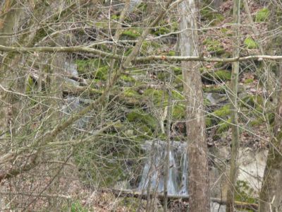 Corvette Falls
Located between Kingsport and Bristol, right behind a Corvette shop on private land but, can be photographed from the road.
