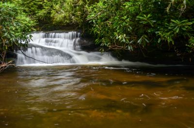 Lower part of Hidden Falls
Located just at the bottom of the main falls and is the first part that one sees when approaching from downstream. It is eight feet or less in height.
