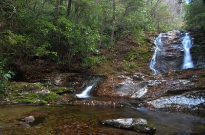 Makes up for the Laurls.
I should know better than hike with Tom, ends up the same way, in the laurels and slick rocks.

Was it worth it, laurels, bogs, slick rocks? You bet.

