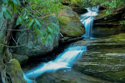 Lower Panthertown Creek Falls
The hike to the lower falls is pretty easy  until the turn off below The Great Wall, then there is nothing  that can be called a trail, just a few faded ribbons and a few clips.

This 0.2 mile bushwhack through a recent controlled burn I would rate difficult for those not accustomed to Bushwhacking.
