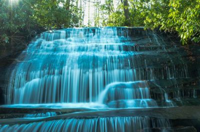Falls On Brogden Creek**
Accessible from the fish hatchery at Brevard and well worth the effort.
