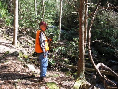 Rarely Seen Bird
An old albatross was said to have been seen up Long Branch but, any kind of albatross is rare in this part of the woods, especially old ones.
