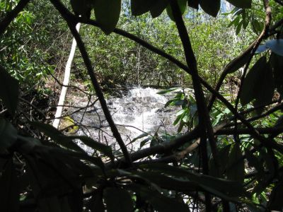 First Glimpse
Through The Laurels, is that a  waterfalls?
