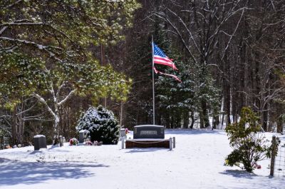 Lonely Sentinel
I stand a little tattered and torn, maybe even a little worn but, I stand.........A lonely Sentinel.
