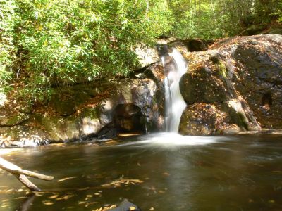 Contrast!
This photo was taken with a bit of overexposure and then, using Picasa contrast was added.
