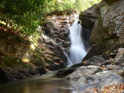 Wild Tennessee
The upper reaches of Laurel Creek is still a wild place and don't get too excited if you see a Bear passing through. It's that kind of wild.
