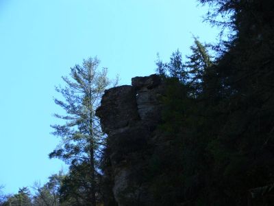 Where no albatross will fly
From the bottom of the gorge, looking up stood two old birds, Lou and I.
