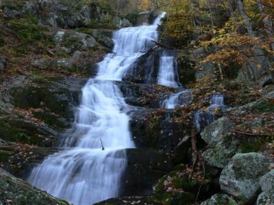 Why am I doing this?
I am 73 yrs old, why am I dong this?
