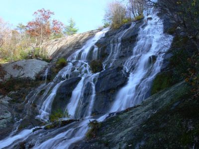 Top In View
Just a little further to the top.
