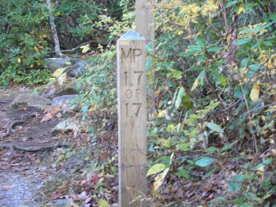 Piece Of Cake!
Told you I would make it. Met a few older than myself, one was on Orville and Wilbur's ground crew.
