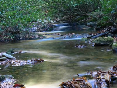 The big falls can't be far
Only about a mile and a half up to the big falls. How bad can that be?
