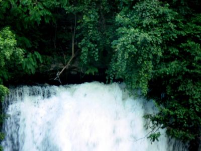Whata Spring!
Actually that is not a spring but the river seeping through the limestone from the upper river.
