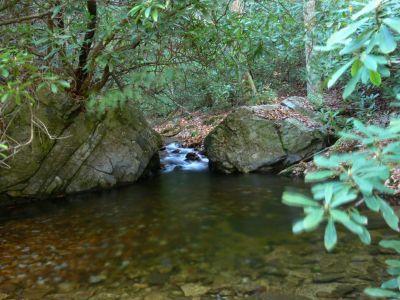 Respite
Relax, this is a good break from the slick rocks and brush.
