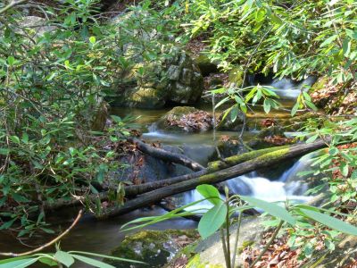 Hell is not always hot
Heaven has no laurel bushes
