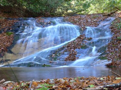 Pretty obstacle
The laurel frame makes it pretty but, it is another slick obstacle
