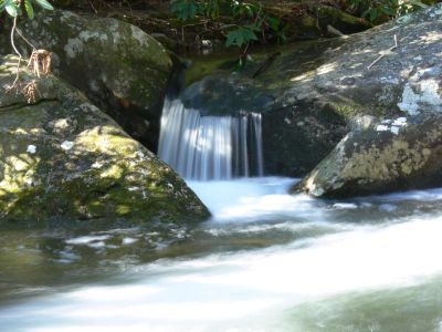 Cascades
From the parking area and up the creek is one beautiful cascade after another.
