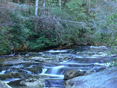 Steel Creek Cascades
Unable to reach the main falls due to water levell that prevented crossing creek. I will come back, prepared to cross the creek. Al alternate route, up the right side of the creek is not really an alternative unless you have a fondness for Laurel bushes, steep slopes, and leaf covered rock.
