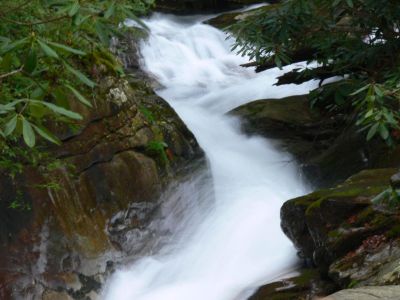 Rooster Tail
This cascade is moving so fast it creates a rooster tail as it dashes over a submerged rock.
