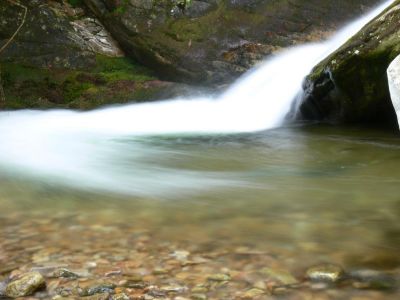 Swoop
Reminds me of an old aviators hair do.
