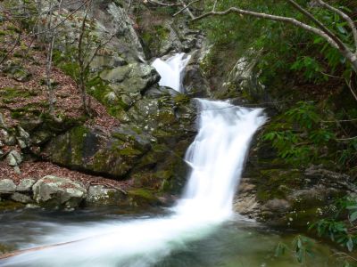Main falls on devil's creek.
The main falls is two plunges,each about 20 ft. The falls in its entirety measures 40 ft with a Forester laser.

