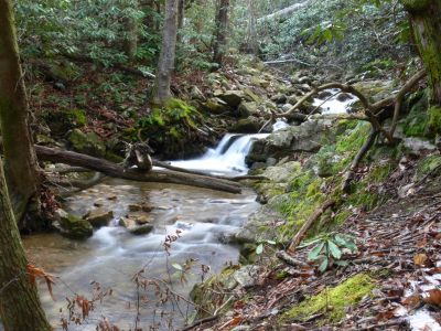 Davis Dreek Cascade
On Davis creek just below the turnoff to Marys Falls.
