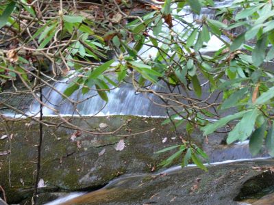 Below Marys Falls
Just below Marys Falls is along slide type falls but, keep going, Marys is just a few hundred yards up creek.
