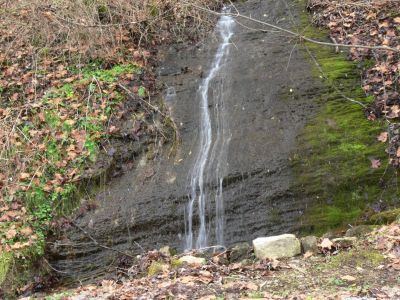 Falls 1A
 Falls 1-6 are located on Clinch River State road 627 downstream from Spears Ferry or US 23. None appear to be wet weather falls and one measured more than 150 ft.

This is where you take the old folks, like me, and they do not even leave the car to  see the falls.

There are several more small falls we did not take the time to stop and photograph, maybe next time.

