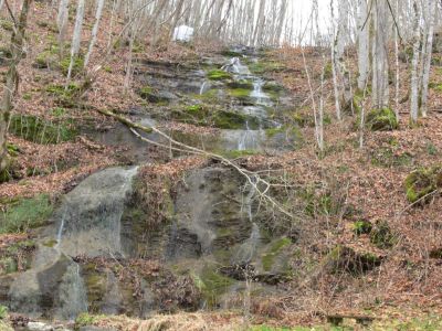 Wake Forest Falls and water system
Wake Forest falls is privately owned but, right beside the road. As you can see the owner uses it for a water supply.
