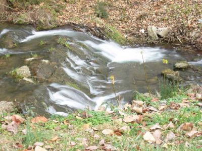 Surgoinsville Falls
Few towns have a Waterfalls, Christmas tree and, a covered Bridge.

To the folks of Surgoinsville...........Attaboy Surgoinsville.
