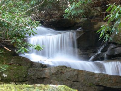 Little Logger Up Close
This is also a private swimming pool.
