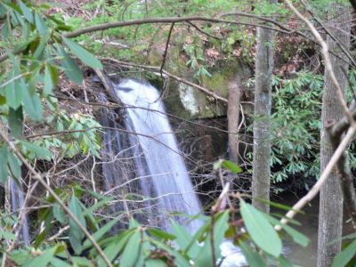Big Logger
The hike is short but, descent to the bottom of this falls is difficult.
