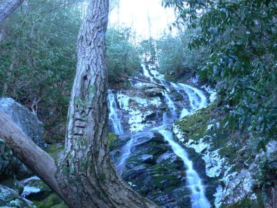 Painter initials
To hike to Painter Creek Falls one must obtain permission from the owner of the property at the trail head. Thanks to that property owner we found a pristine creek and falls. The falls is located about two miles up the creek with only about a fourth of that having a trail.

Thanks to Gene, the owner, and the Forest service for keeping Sampson Mountain a wilderness.
