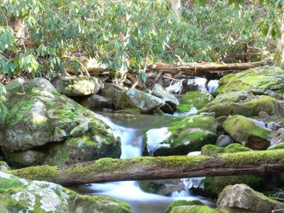 Painter Creek Beauty 2
