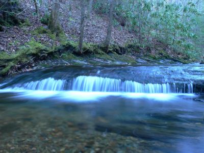 Painter Creek Beauty 2
