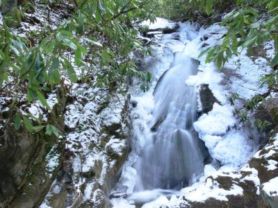 Southern Branch 1
February 13 2012. height of 15 ft.
