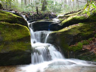 Really East Tennessee
This waterfall measures only 12 ft high. This web site qualifies any cascade above 8 ft as a waterfall.

With this in mind, this may be the most Eastern waterfall in Tennessee.
