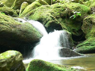 Fizzz
This one is on Mineral Creek. Just off the Blue Ridge Parkway, just South of Craggy Gardens, along Stony Fork Road

Photo perfect, cloudy day. Picnic right beside the creek with BJ after which we sat off up the creek. All these cascades and a beautiful falls are easily accessible for even a novice hiker. 

