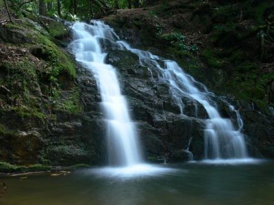 Erwin's Best
Even in low water conditions Martin's Creek Falls, just up the creek from BJ's home town of Erwin, TN, shows off.

I just remembered why I love this part of our great nation.........of course I was thinking of BJ, don't think I would get all squishy about a creek running over a rock, do you?
