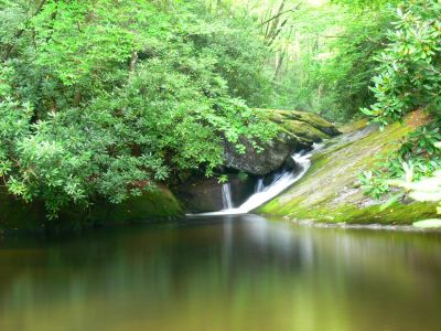 Another Pretty Face
Could not resist photographing this little cascade just upstream from Bard Falls, located on the Mountains To Sea Trail.

If you have not hiked the MTS Trail, you need to. The trail is so well kept it turns difficult into "just plain pretty'.

