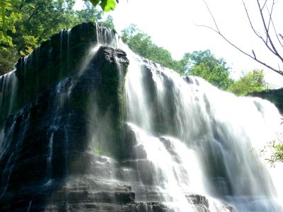 Nose Shadow
Looks like an animal emerging from the water with it's nose casting a shadow. 

Kind of like cloud art? You don't see the nose shadow? Drop us a note and we will paint it red for you.

This is still not Burgess at it's best. Give it some more rain and it will be a tru beast.
