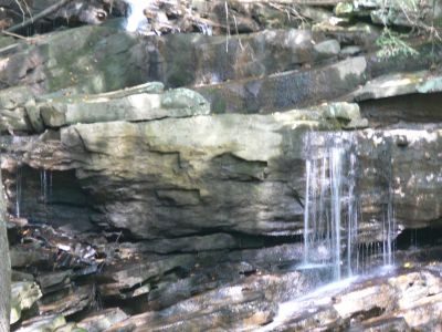Guest River Falls
I think the name of the falls is Guest River Falls but, I thik I will always know it as Doug's Falls since his bench (has his plaque on it) offers a good place to just sit, relax and enjoy the falls.
