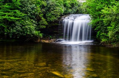 Circular Polarized Filter
Amazing what one can see beneath the water when using a filter.
