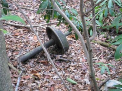 Tram Wheel
Came across this when RAT and I were Introducing ourselves to a laurel thicket on California Creek, Erwin TN. Used in the logging industry in a long gone era. 

A friends Father broke the chunk out of it trying to collect scrap many years ago. 
