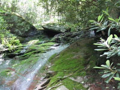 Whetstone Branch Falls
This falls seem to come out of the cliff in numerous places, some of it through a small cave.
